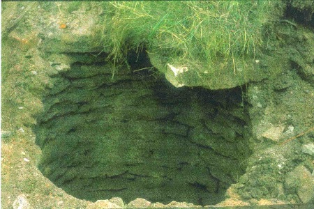 Well shaft at top of Field Lane Blidworth