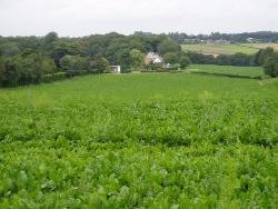 Copt Hill Farm